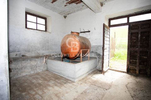 Landejendom i Tuscania, Viterbo, Tuscania - € 215.000 | Ref: CBI018-703-43691 - foto 24
