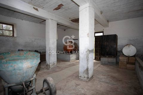 Landejendom i Tuscania, Viterbo, Tuscania - € 215.000 | Ref: CBI018-703-43691 - foto 25