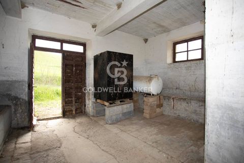 Landejendom i Tuscania, Viterbo, Tuscania - € 215.000 | Ref: CBI018-703-43691 - foto 27