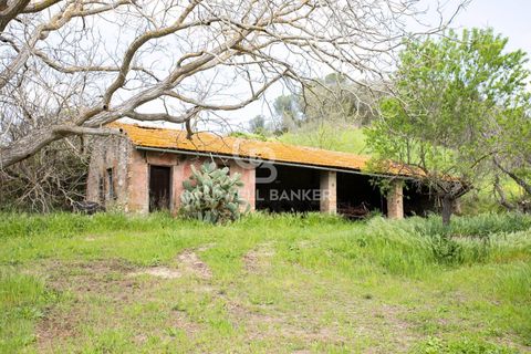 Landejendom i Tuscania, Viterbo, Tuscania - € 215.000 | Ref: CBI018-703-43691 - foto 32