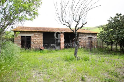Landejendom i Tuscania, Viterbo, Tuscania - € 215.000 | Ref: CBI018-703-43691 - foto 33