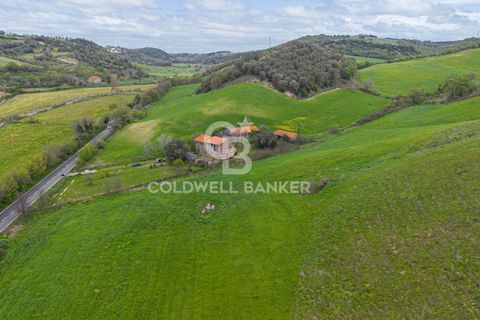 Terra a Tuscania, Viterbo, Tuscania - € 165.000 | Ref: CBI018-703-43692 - foto 3