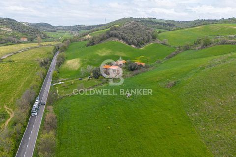 Terra a Tuscania, Viterbo, Tuscania - € 165.000 | Ref: CBI018-703-43692 - foto 4