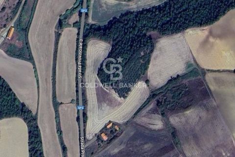 Terra a Tuscania, Viterbo, Tuscania - € 165.000 | Ref: CBI018-703-43692 - foto 5