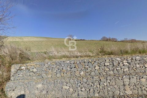 Terra a Tuscania, Viterbo, Tuscania - € 85.000 | Ref: CBI018-703-43717 - foto 3