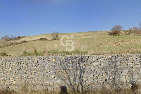 Terra a Tuscania, Viterbo, Tuscania - € 85.000 | Ref: CBI018-703-43717 - foto 4