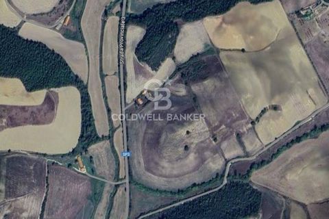 Terra a Tuscania, Viterbo, Tuscania - € 85.000 | Ref: CBI018-703-43717 - foto 5