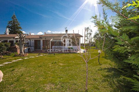 Villa i Tarquinia, Viterbo, Tarquinia - € 340.000 | Ref: CBI018-108-43765 - foto 2