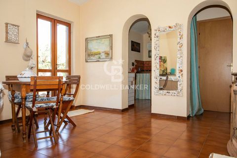 Villa i Tarquinia, Viterbo, Tarquinia - € 340.000 | Ref: CBI018-108-43765 - foto 17