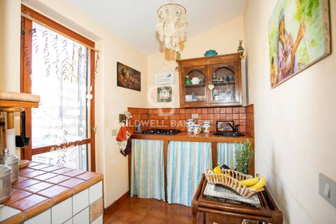 Villa i Tarquinia, Viterbo, Tarquinia - € 340.000 | Ref: CBI018-108-43765 - foto 18