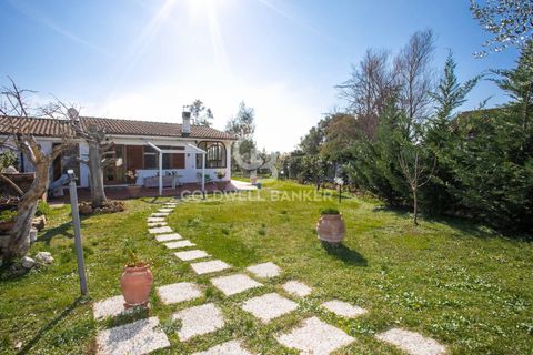 Villa i Tarquinia, Viterbo, Tarquinia - € 340.000 | Ref: CBI018-108-43765 - foto 50