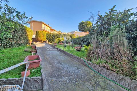 Villa a Tarquinia, Viterbo, Tarquinia - € 260.000 | Ref: CBI019-2184-29060 - foto 2