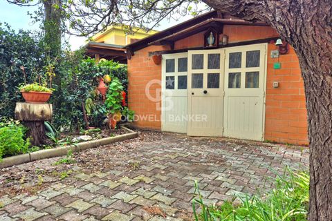 Villa i Tarquinia, Viterbo, Tarquinia - € 229.000 | Ref: CBI019-2184-29068 - foto 25