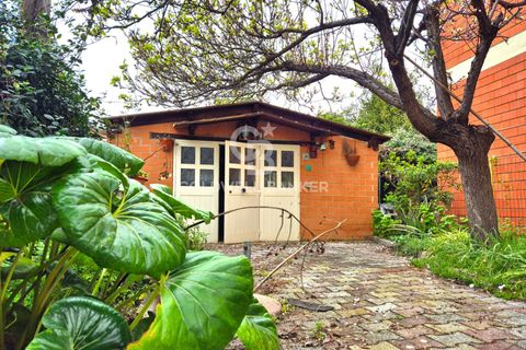 Villa i Tarquinia, Viterbo, Tarquinia - € 229.000 | Ref: CBI019-2184-29068 - foto 27