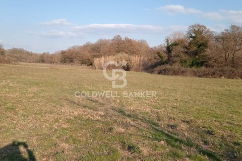 Terra a Nepi, Viterbo, Nepi - € 25.000 | Ref: CBI034-30-106 - foto 2