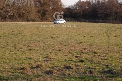 Terra a Nepi, Viterbo, Nepi - € 25.000 | Ref: CBI034-30-106 - foto 3