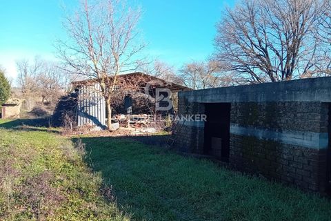 Terra a Sutri, Viterbo, Sutri - € 75.000 | Ref: CBI034-30-174 - foto 2