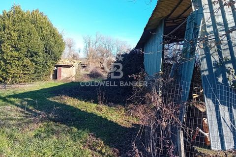 Terra a Sutri, Viterbo, Sutri - € 75.000 | Ref: CBI034-30-174 - foto 3