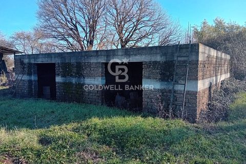 Terra a Sutri, Viterbo, Sutri - € 75.000 | Ref: CBI034-30-174 - foto 4