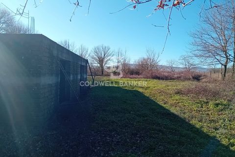 Terra a Sutri, Viterbo, Sutri - € 75.000 | Ref: CBI034-30-174 - foto 5