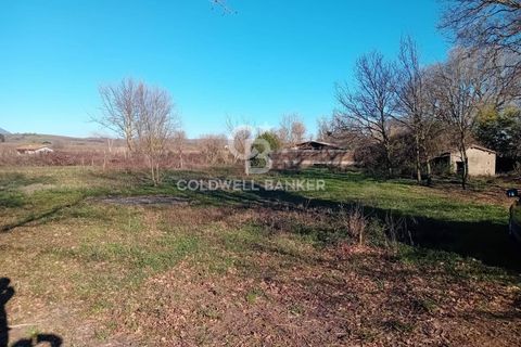 Terra a Sutri, Viterbo, Sutri - € 75.000 | Ref: CBI034-30-174 - foto 6