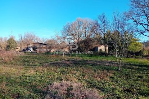 Terra a Sutri, Viterbo, Sutri - € 75.000 | Ref: CBI034-30-174 - foto 7