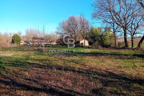 Terra a Sutri, Viterbo, Sutri - € 75.000 | Ref: CBI034-30-174 - foto 8