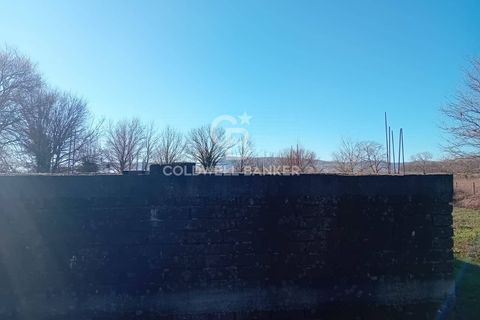 Terra a Sutri, Viterbo, Sutri - € 75.000 | Ref: CBI034-30-174 - foto 9