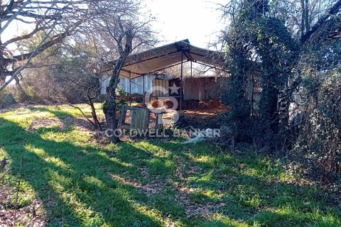 Terra a Sutri, Viterbo, Sutri - € 75.000 | Ref: CBI034-30-174 - foto 11
