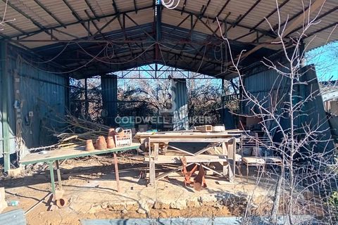 Terra a Sutri, Viterbo, Sutri - € 75.000 | Ref: CBI034-30-174 - foto 12