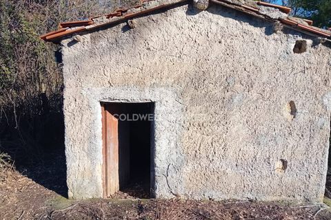 Terra a Sutri, Viterbo, Sutri - € 75.000 | Ref: CBI034-30-174 - foto 13