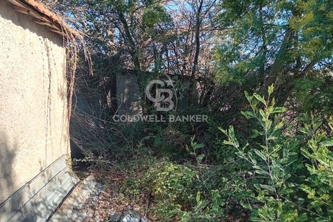 Terra a Sutri, Viterbo, Sutri - € 75.000 | Ref: CBI034-30-174 - foto 14
