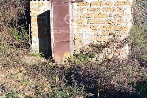 Terra a Sutri, Viterbo, Sutri - € 75.000 | Ref: CBI034-30-174 - foto 15