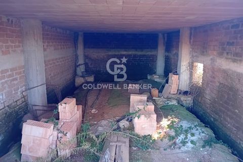 Terra a Sutri, Viterbo, Sutri - € 75.000 | Ref: CBI034-30-174 - foto 16