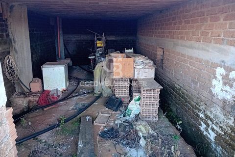 Terra a Sutri, Viterbo, Sutri - € 75.000 | Ref: CBI034-30-174 - foto 17