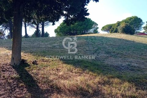 Terra a Sutri, Viterbo, Sutri - € 30.000 | Ref: CBI034-30-200 - foto 2