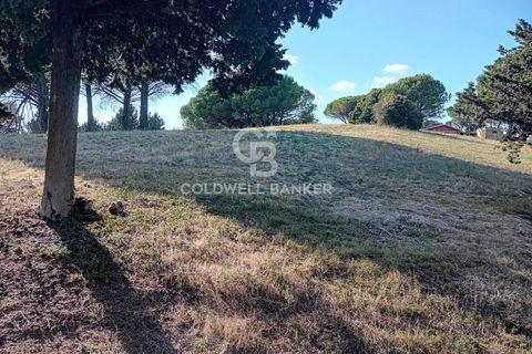 Terra a Sutri, Viterbo, Sutri - € 30.000 | Ref: CBI034-30-200 - foto 3