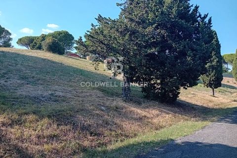 Terra a Sutri, Viterbo, Sutri - € 30.000 | Ref: CBI034-30-200 - foto 4