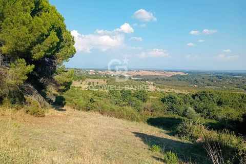 Terra a Sutri, Viterbo, Sutri - € 30.000 | Ref: CBI034-30-200 - foto 5