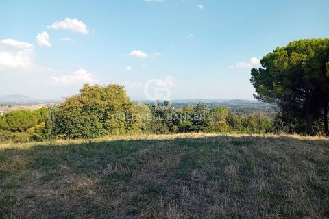 Terra a Sutri, Viterbo, Sutri - € 30.000 | Ref: CBI034-30-200 - foto 8