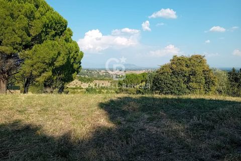 Terra a Sutri, Viterbo, Sutri - € 30.000 | Ref: CBI034-30-200 - foto 9