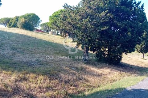 Terra a Sutri, Viterbo, Sutri - € 30.000 | Ref: CBI034-30-200 - foto 11