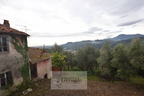 Villa a Massarosa, Lucca, Massarosa - € 450.000 | Ref: M659 - foto 5