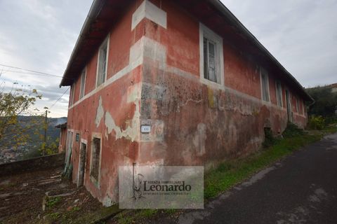 Villa a Massarosa, Lucca, Massarosa - € 450.000 | Ref: M659 - foto 10