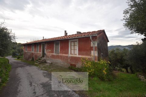 Villa a Massarosa, Lucca, Massarosa - € 450.000 | Ref: M659 - foto 11