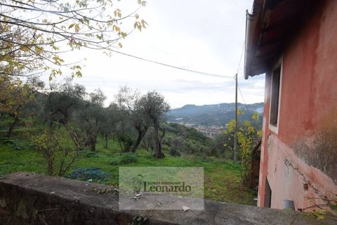 Villa a Massarosa, Lucca, Massarosa - € 450.000 | Ref: M659 - foto 16