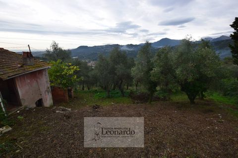 Villa a Massarosa, Lucca, Massarosa - € 450.000 | Ref: M659 - foto 19
