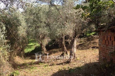 Villa a Massarosa, Lucca, Massarosa - € 450.000 | Ref: M659 - foto 29