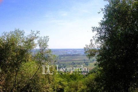 Villa a Massarosa, Lucca, Massarosa - € 450.000 | Ref: M659 - foto 33