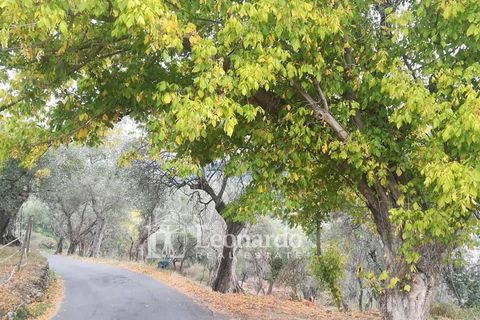 Villa a Massarosa, Lucca, Massarosa - € 450.000 | Ref: M659 - foto 34